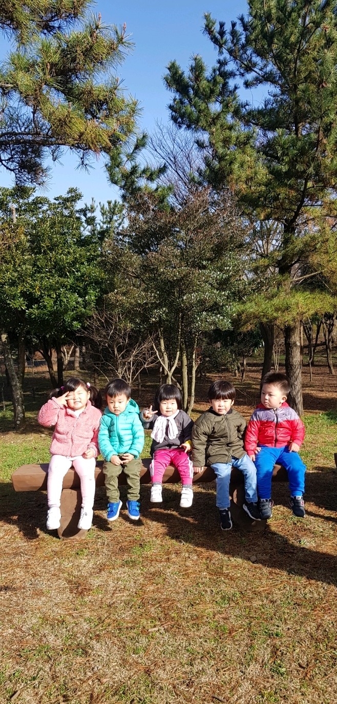 지온숲 이미지