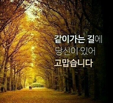 2020년 새해복 많이받으세요?