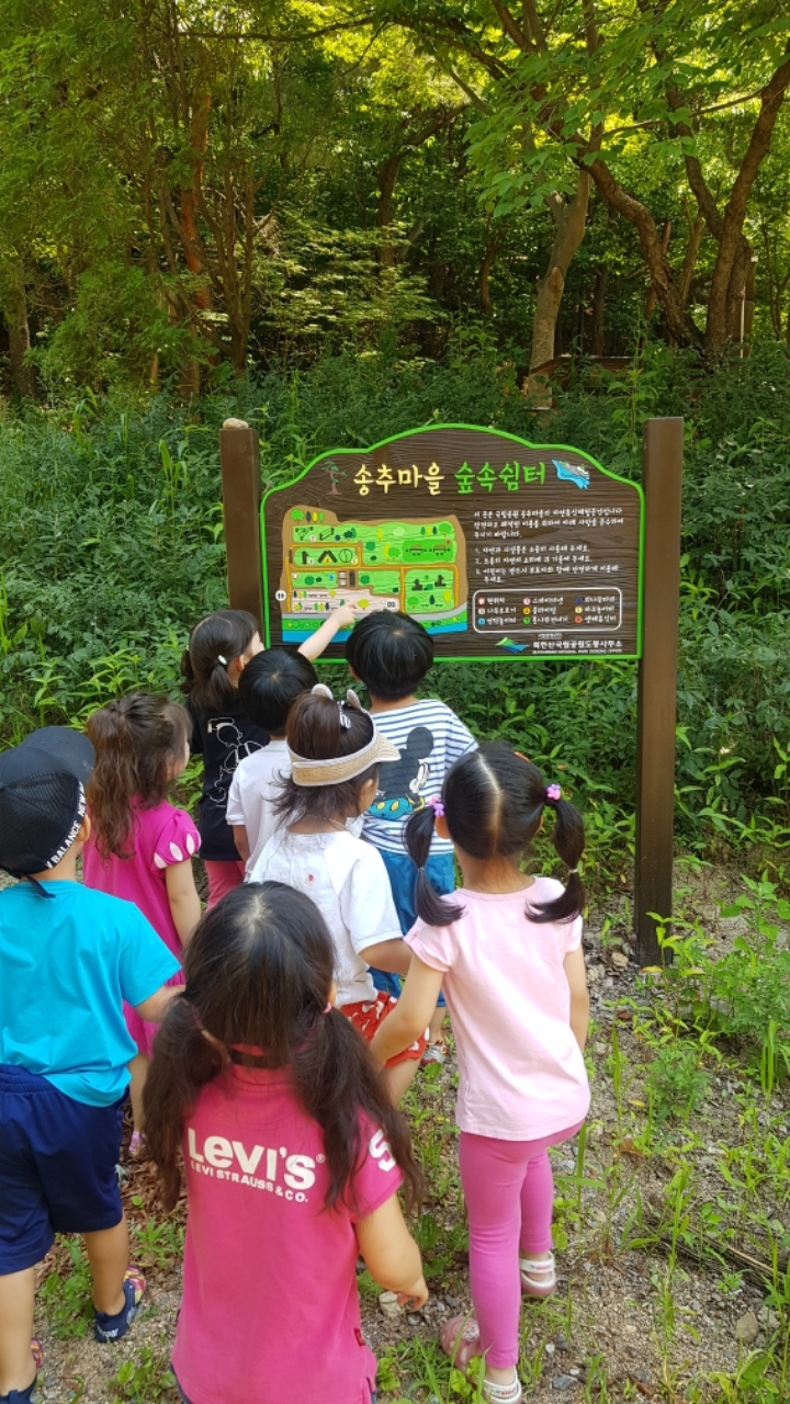 박*일 이미지