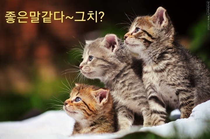 이야기카페 이미지