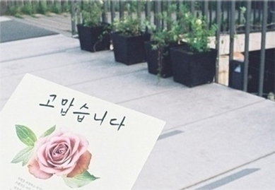 라온스토리 이미지