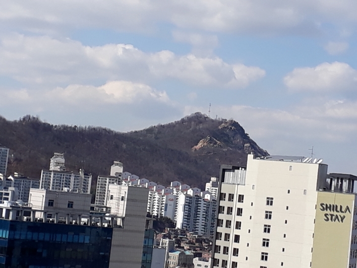 신선한 아침 이미지