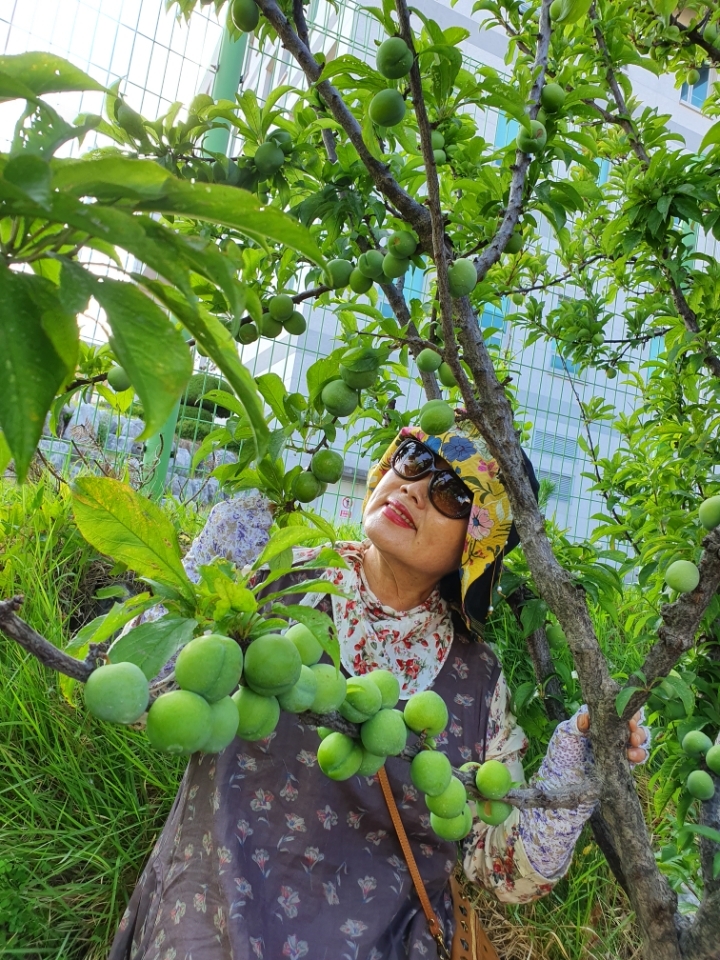 청보석 이미지