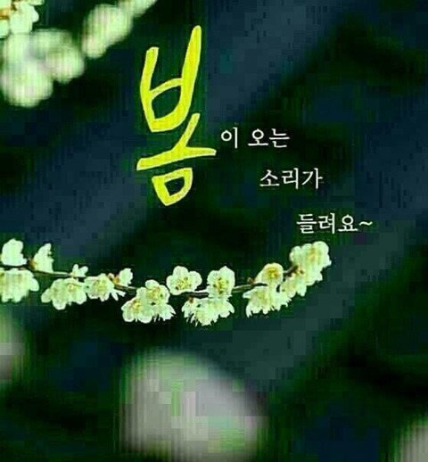 멋진하루 이미지