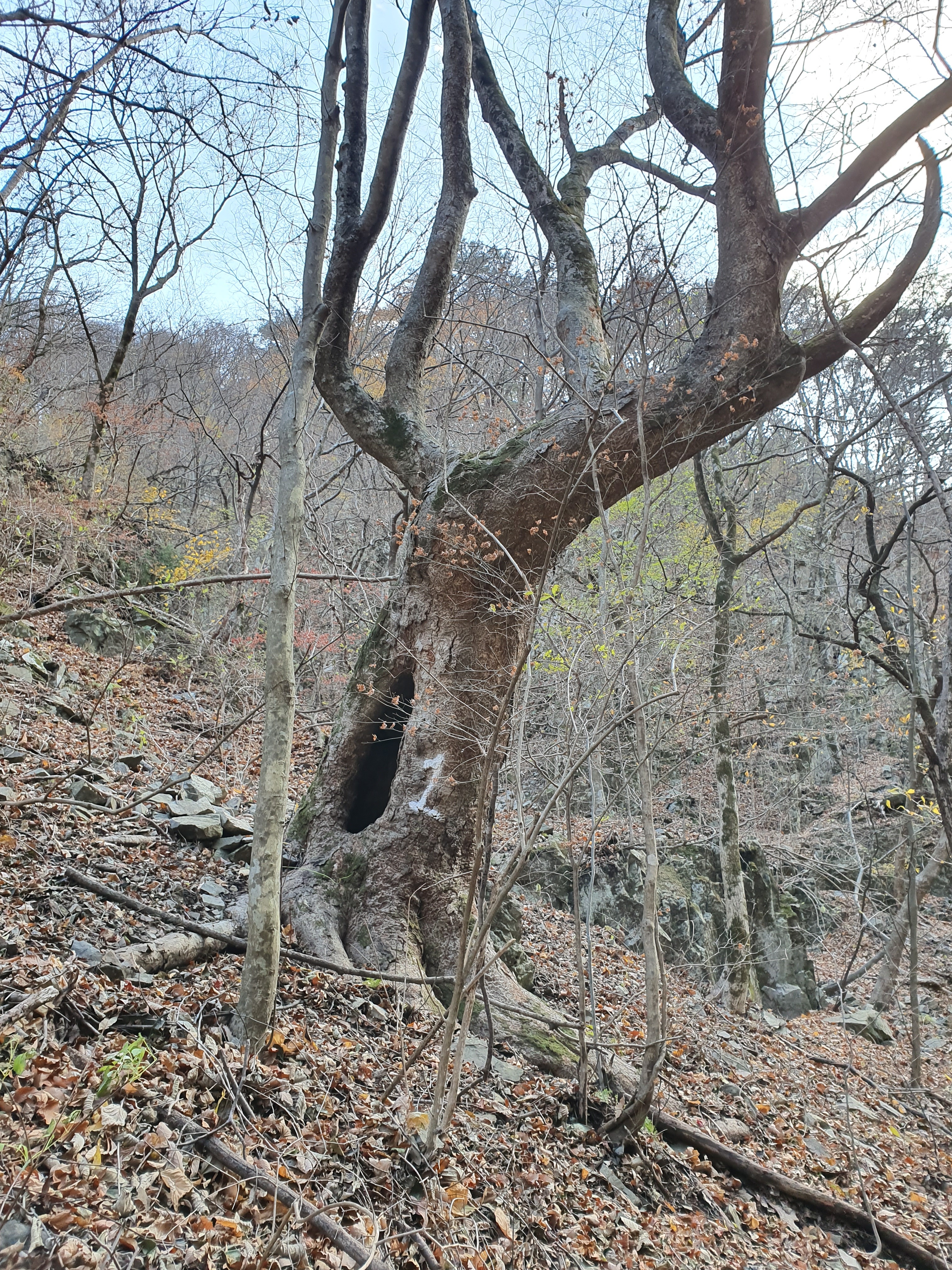 일번 이미지