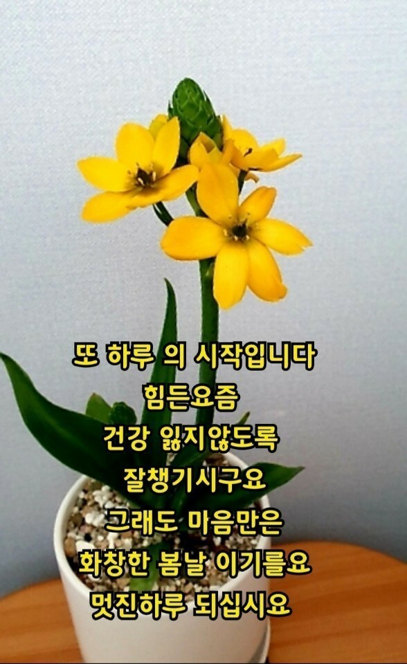 멋진하루 이미지