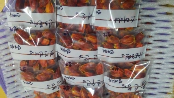 수진농원 이미지