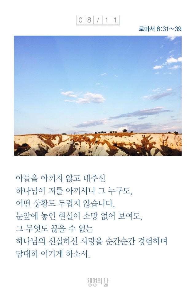 하리요8 이미지