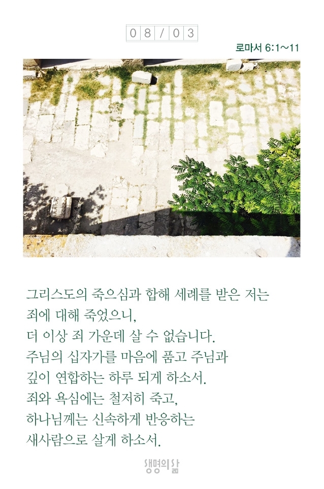 하리요8 이미지