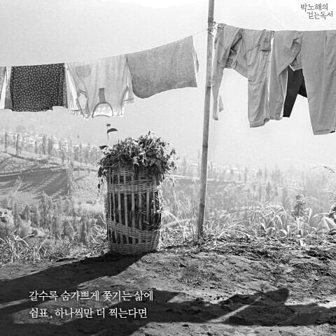 텐시 이미지