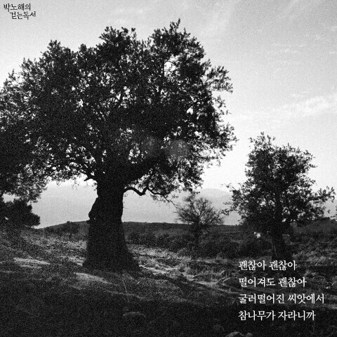 빨강 이미지