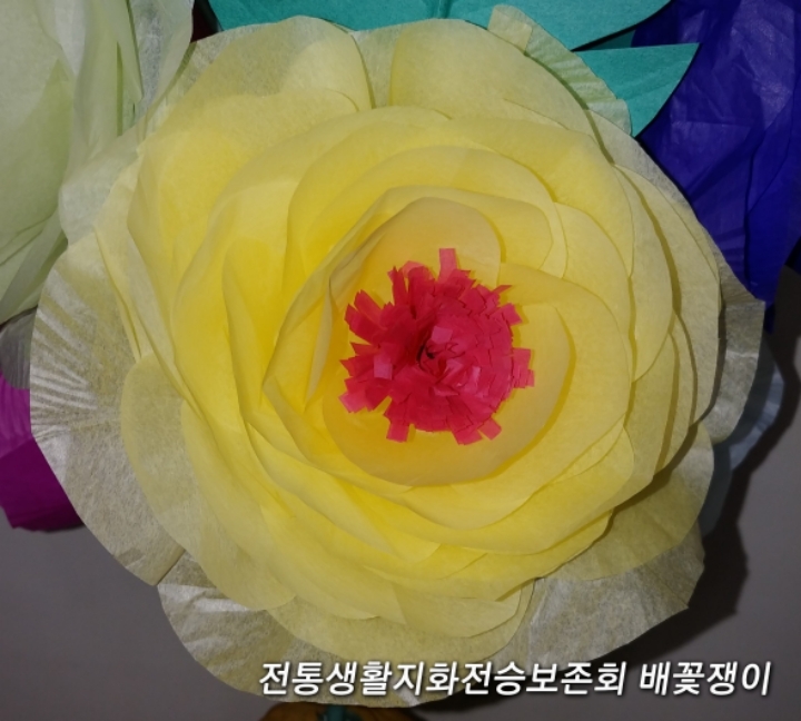 무화지 이미지