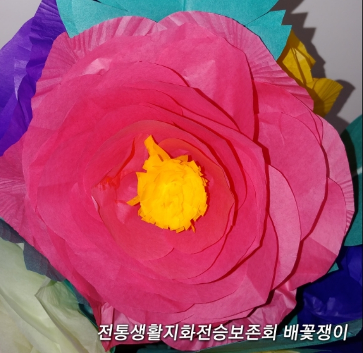 무화지 이미지