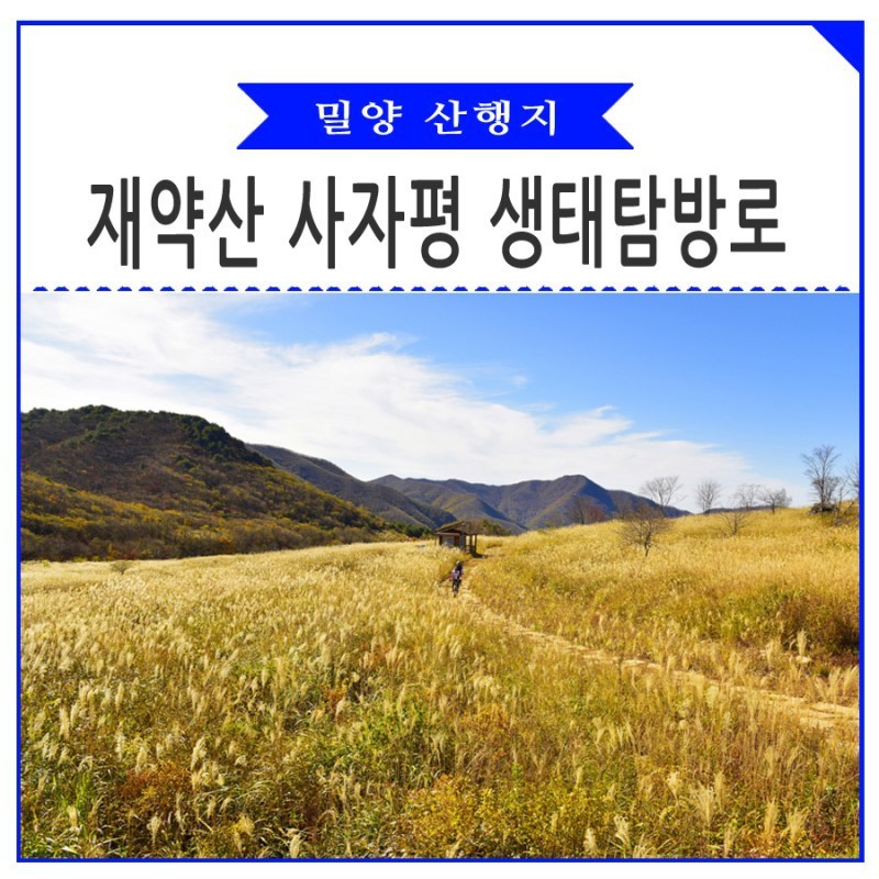 사자평 이미지