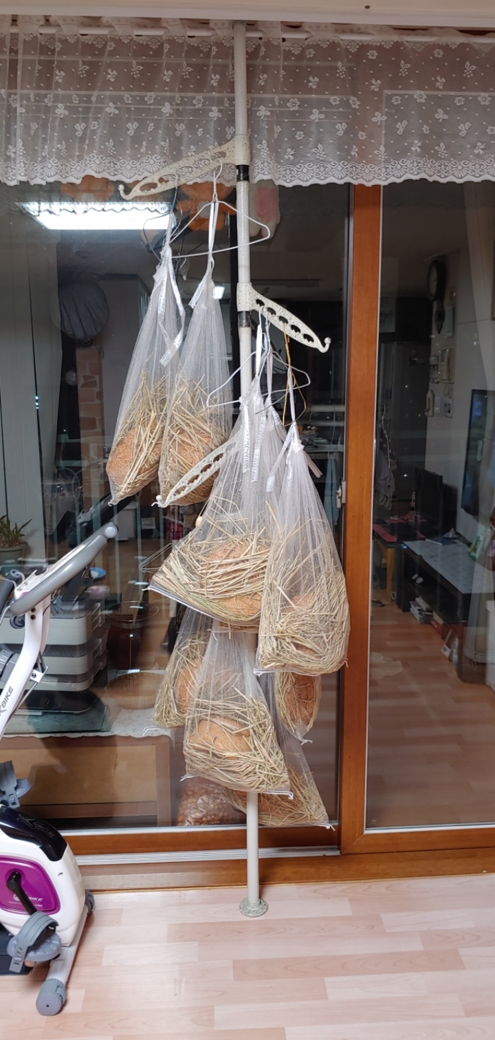 리메주 이미지