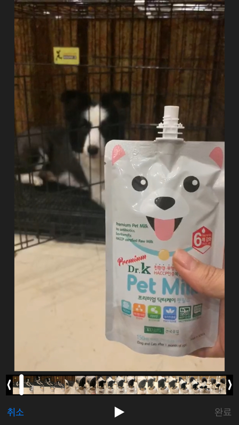 명품간식 이미지