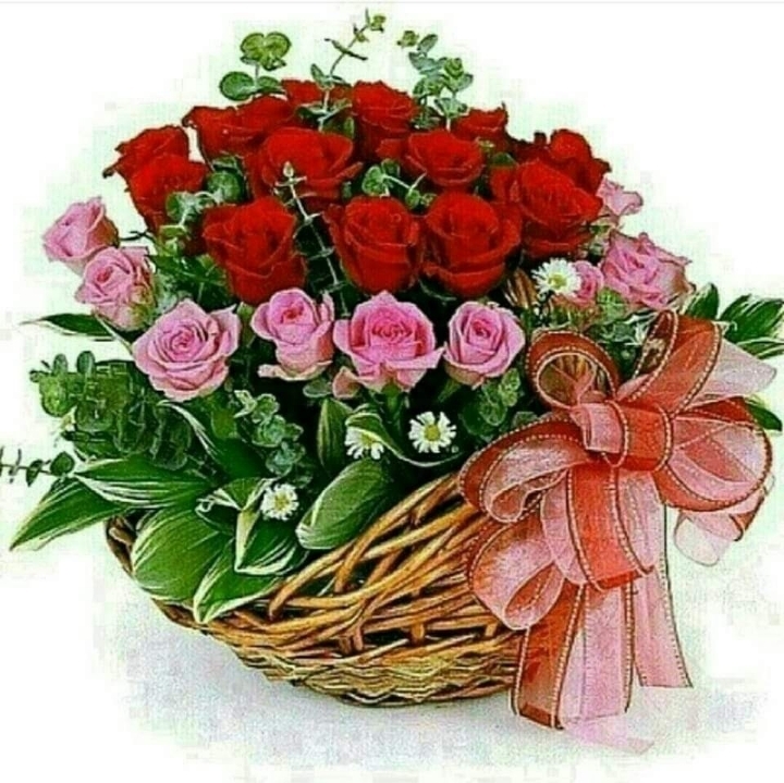 우정상 이미지