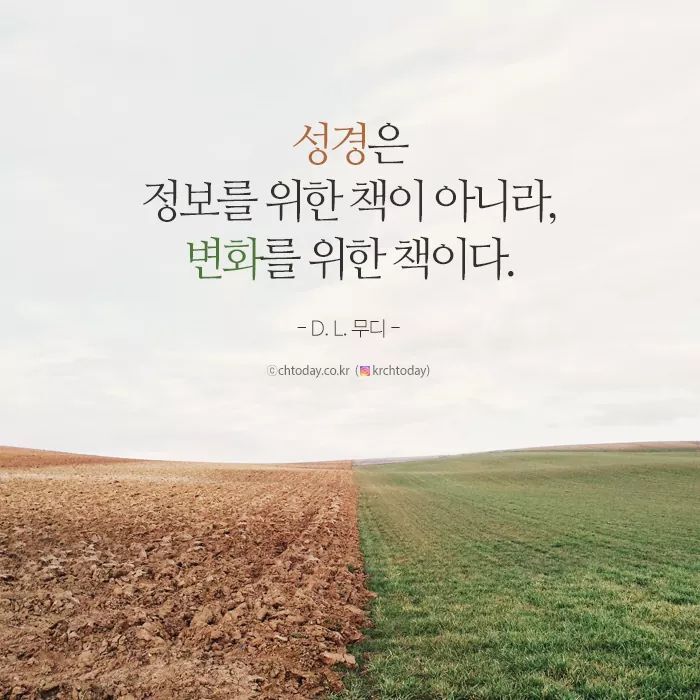 무디무디 이미지
