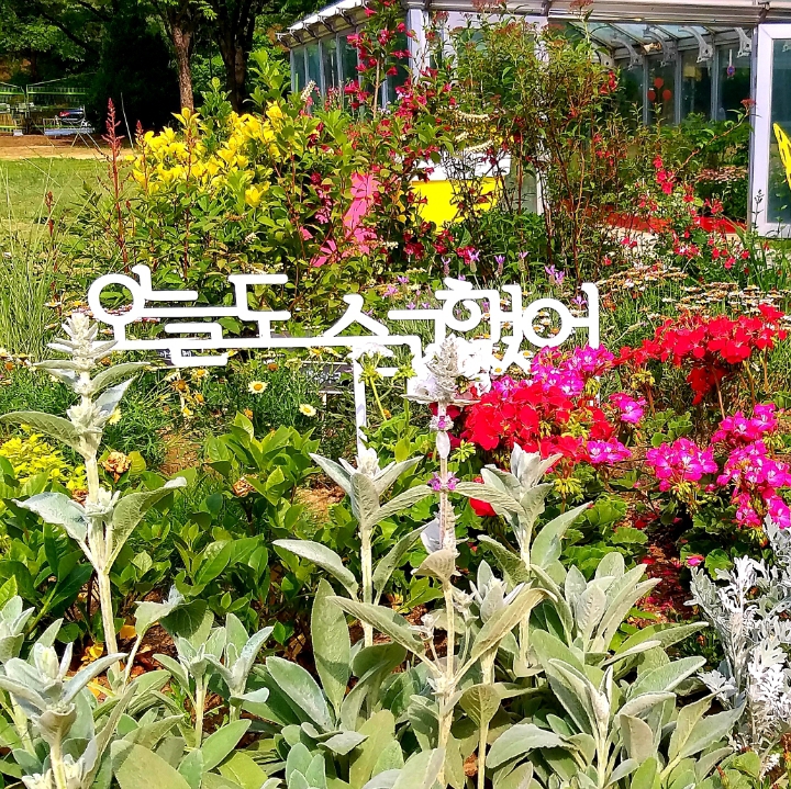 모두모아 이미지