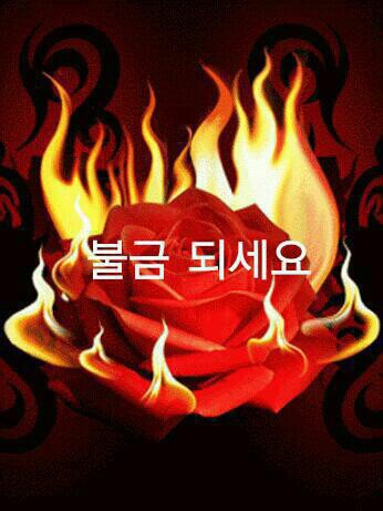 모두모아 이미지