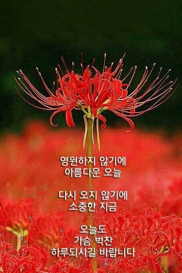 은가람 이미지