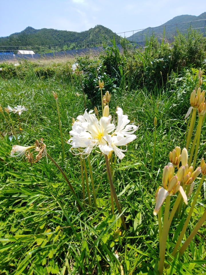 자연풍경 이미지
