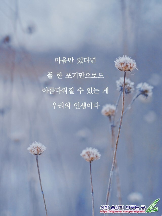신묘 이미지
