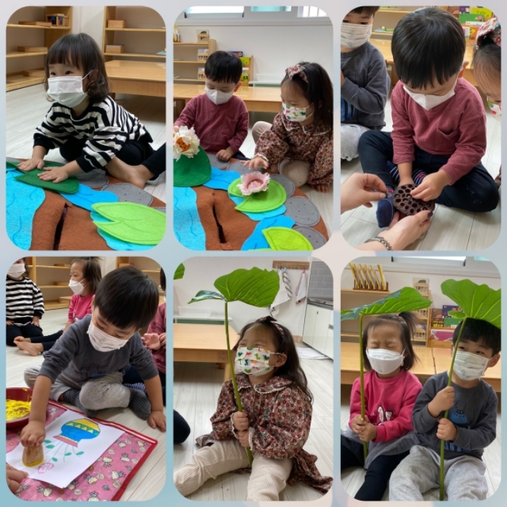 포미 이미지