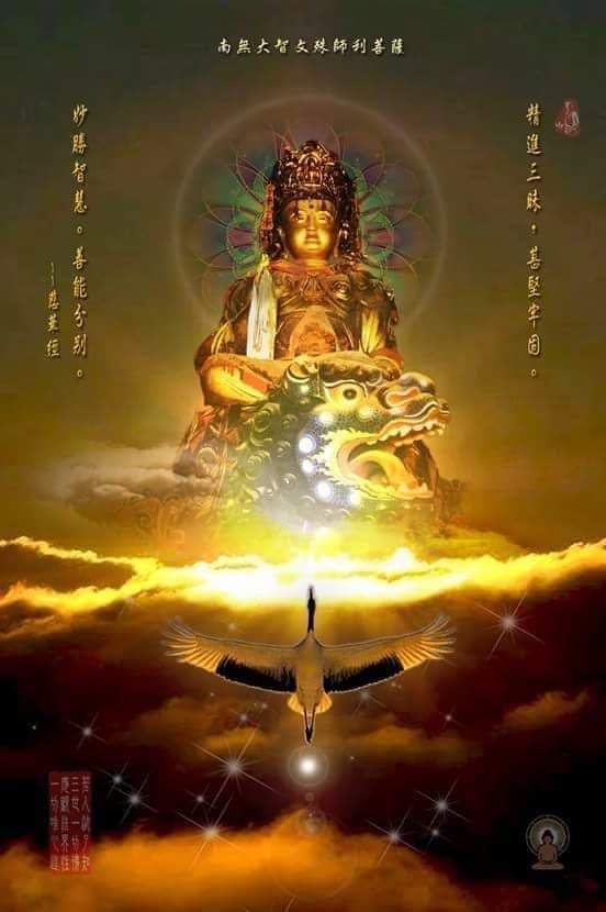 지교 이미지