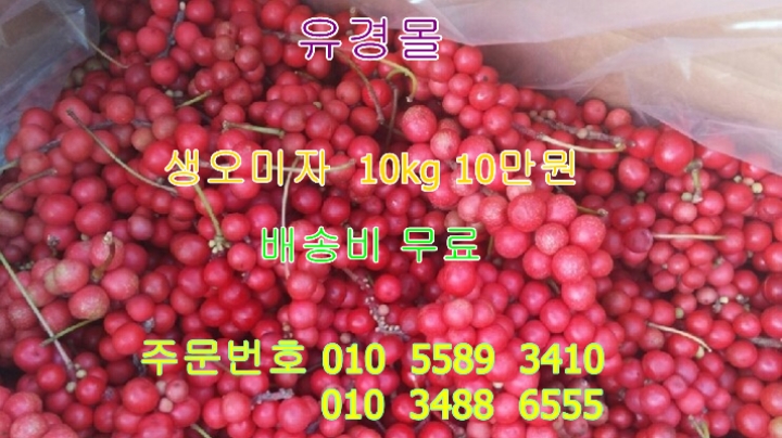문경몰 이미지