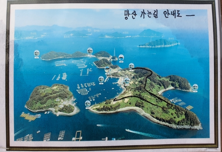 섬고래 이미지