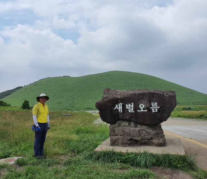제주새별 이미지