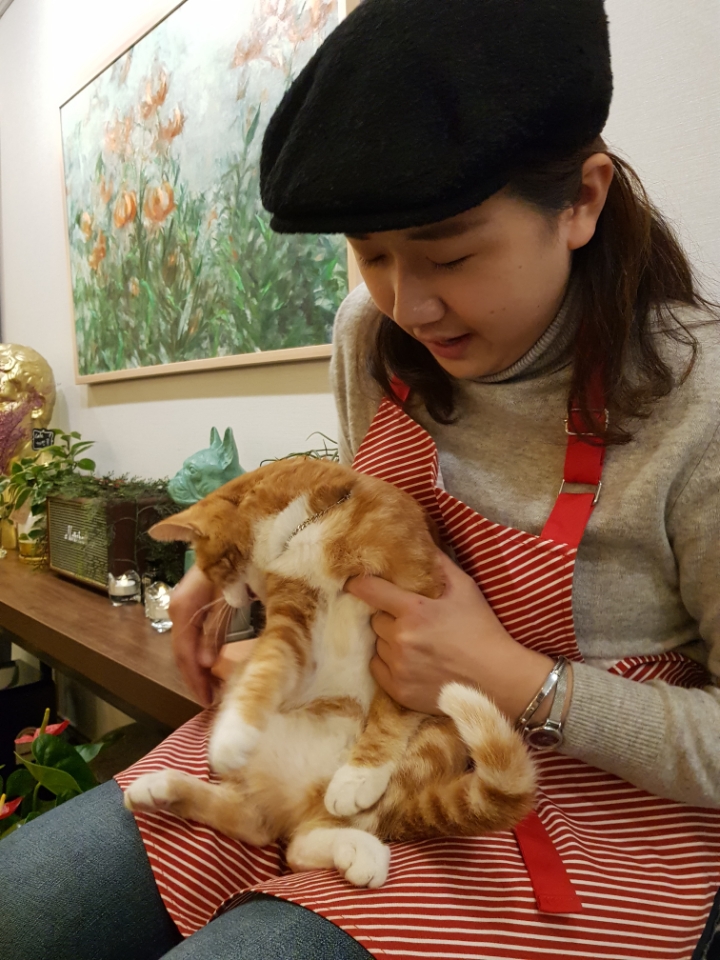 갤러리콩 이미지