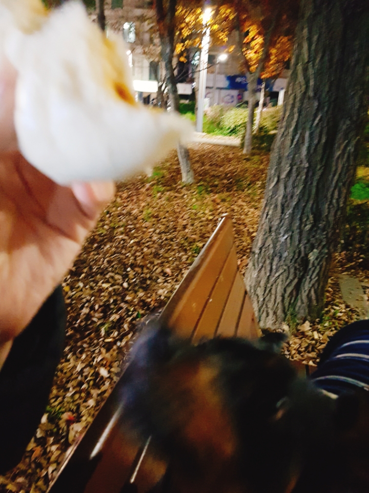 마시야 이미지