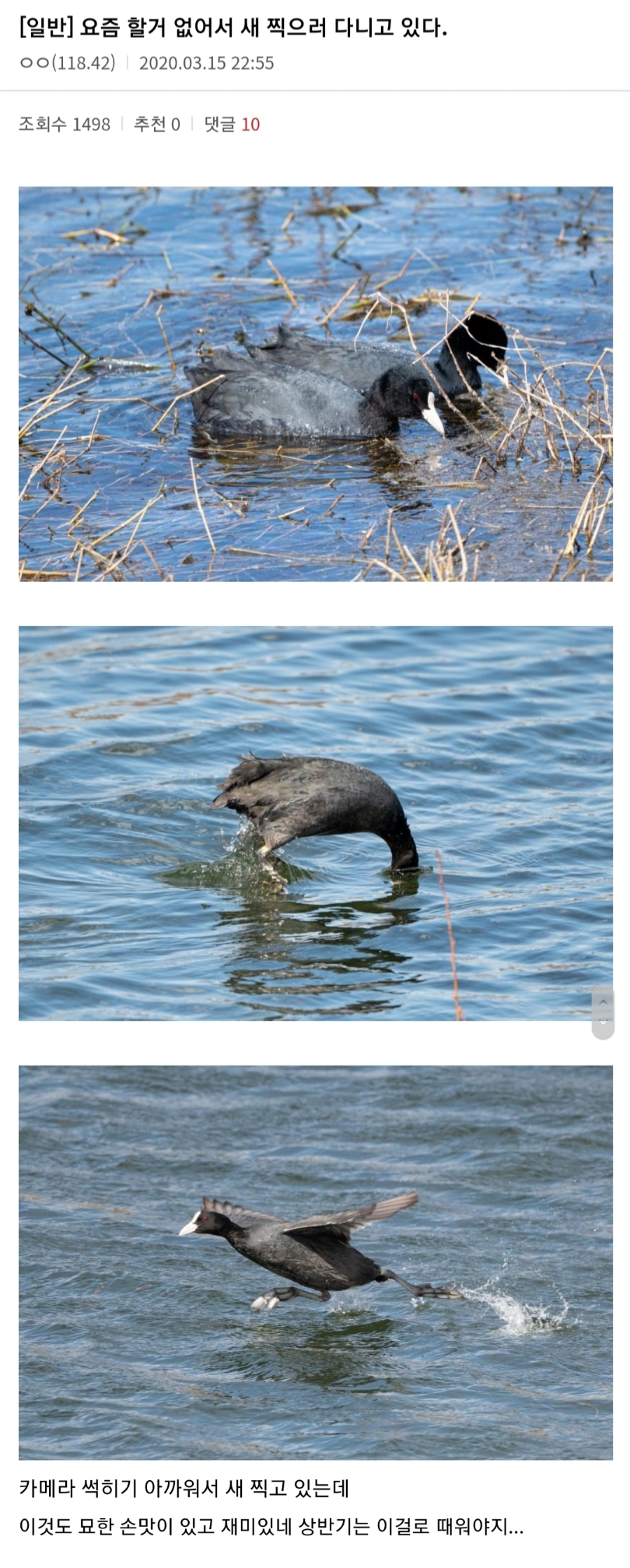 스케줄이 없어져 심심해진 찍덕들 근황 | 인스티즈