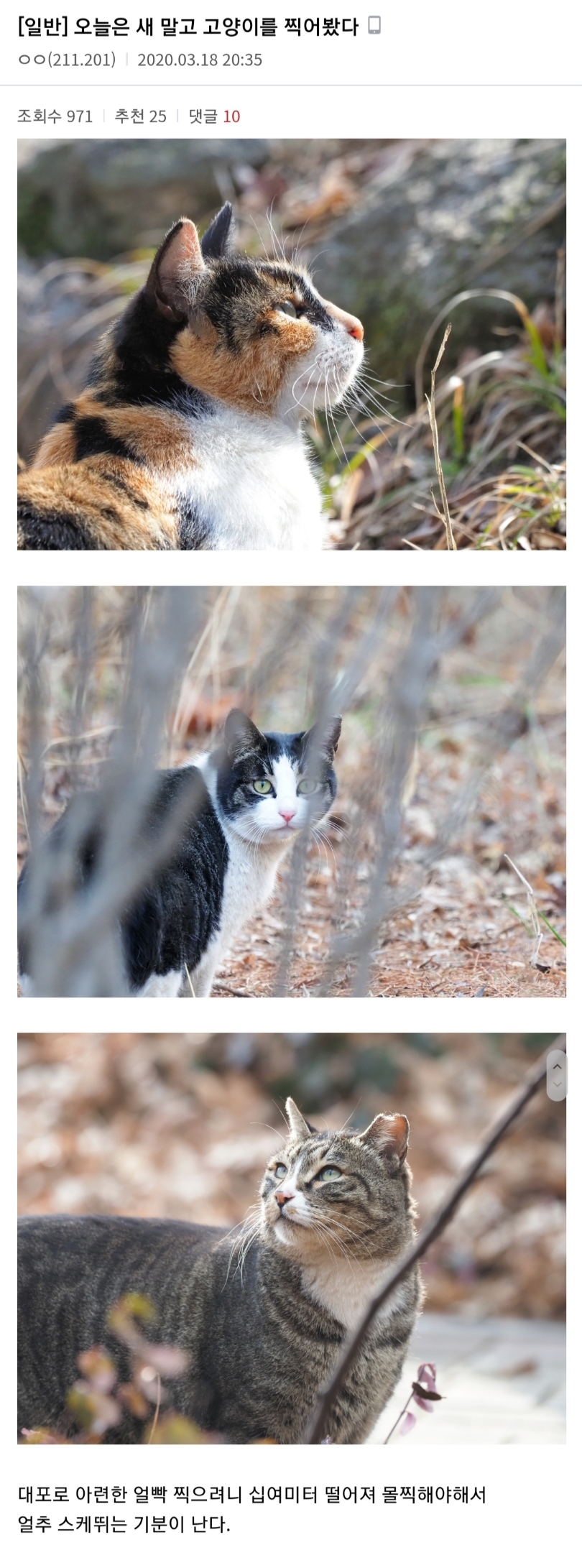스케줄이 없어져 심심해진 찍덕들 근황 | 인스티즈