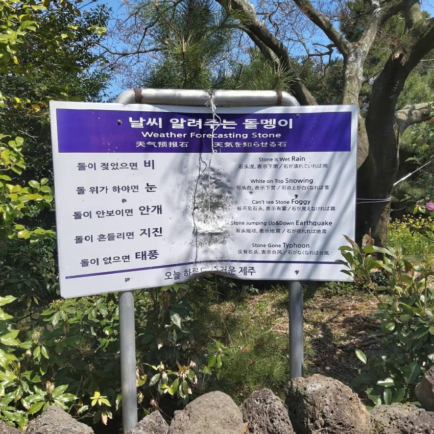 제주도 '날씨 알려주는 돌멩이' 근황 | 인스티즈