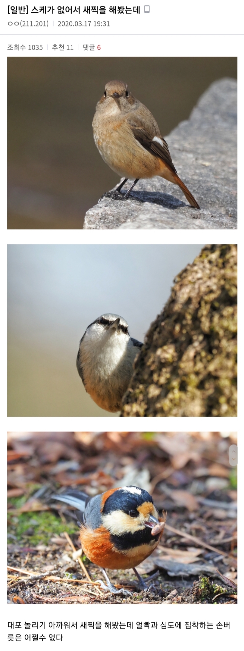 스케줄이 없어져 심심해진 찍덕들 근황 | 인스티즈