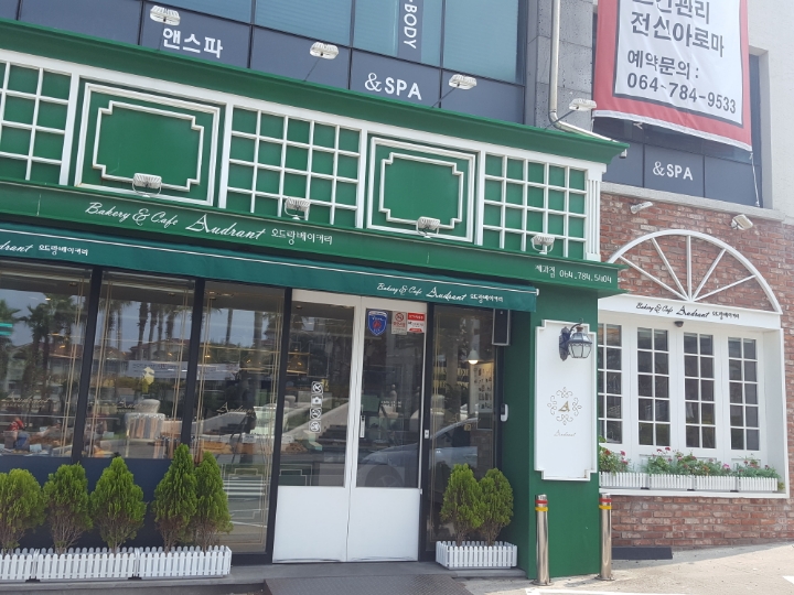 카트렌드 이미지