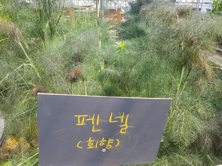 화평농원 이미지