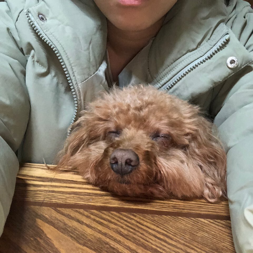 곰돌이카센터 이미지