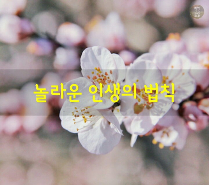 화요일 이미지