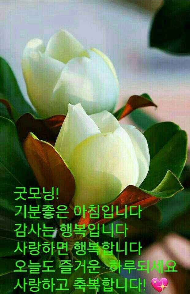 멋진하루 이미지