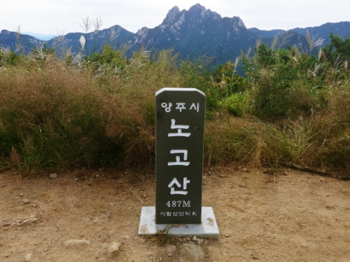 오봉주유소 이미지