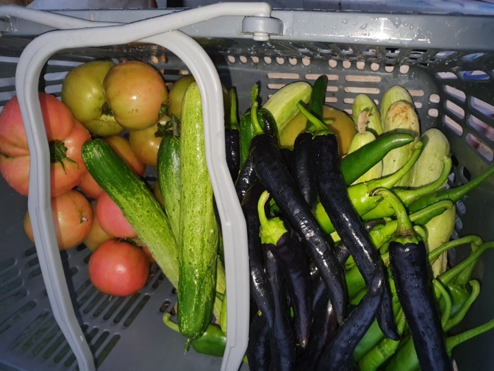 금촌농업협동조합 이미지