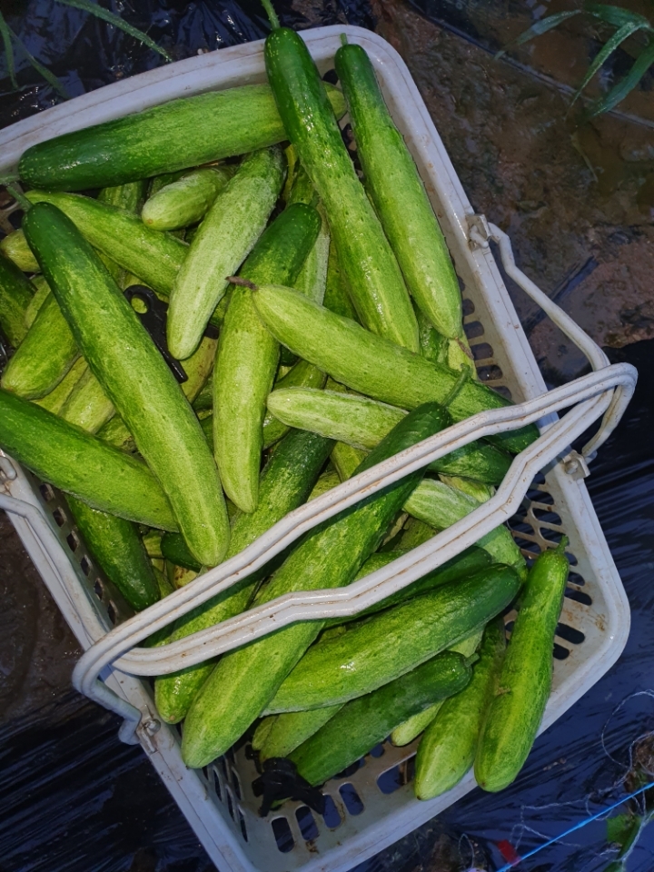 금촌농업협동조합 이미지