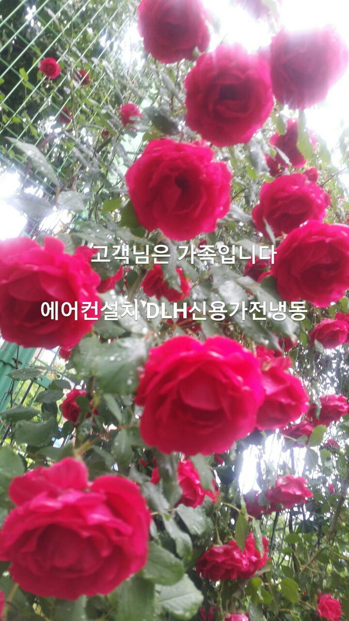 신용세탁소 이미지