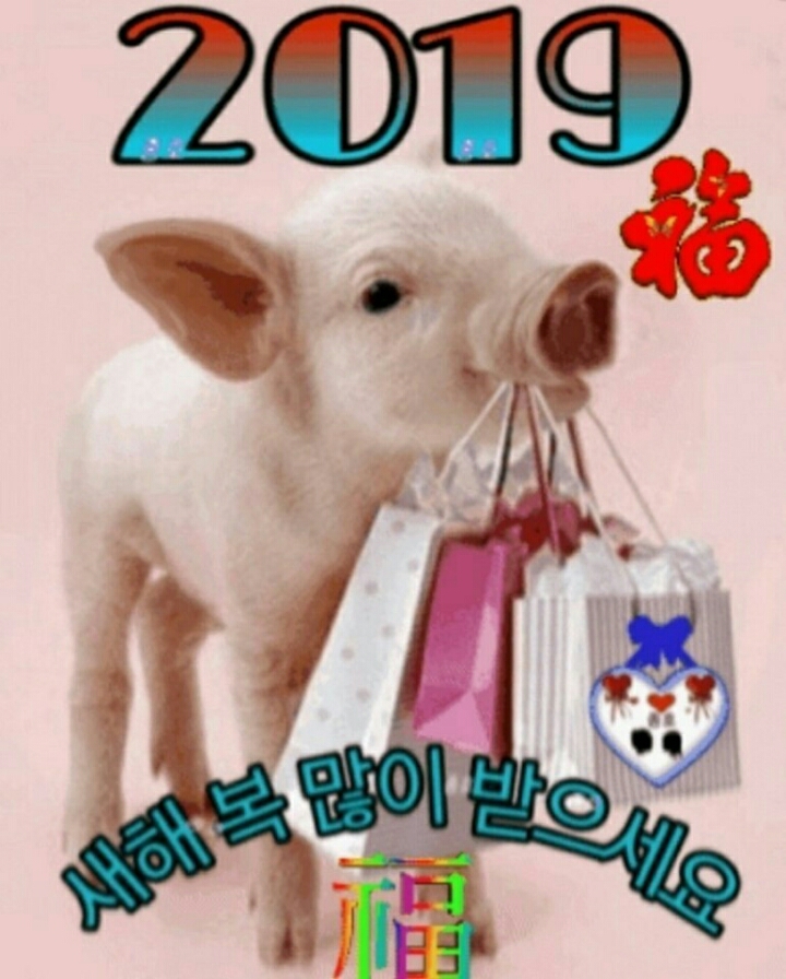 신용냉동 이미지