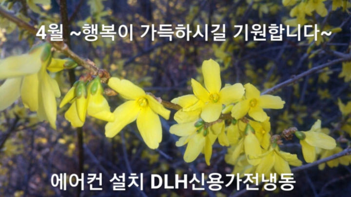 흰돌인터넷 이미지