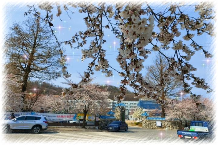 강화중학교 이미지